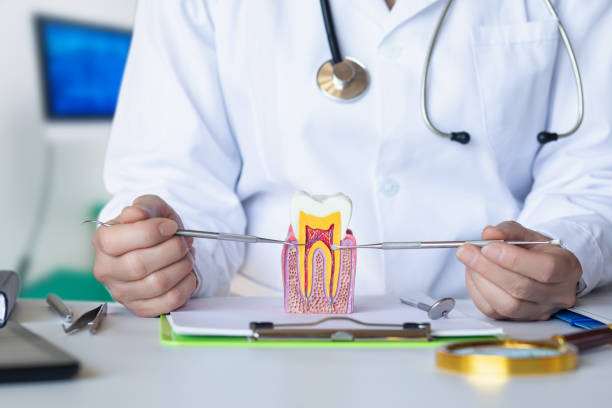 Best Emergency Dental Care for Broken or Chipped Teeth in Chualar, CA